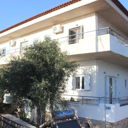 Minas Apartment 2Mins Walking From Stoupa Beach, Upgraded Wi-Fi מראה חיצוני תמונה
